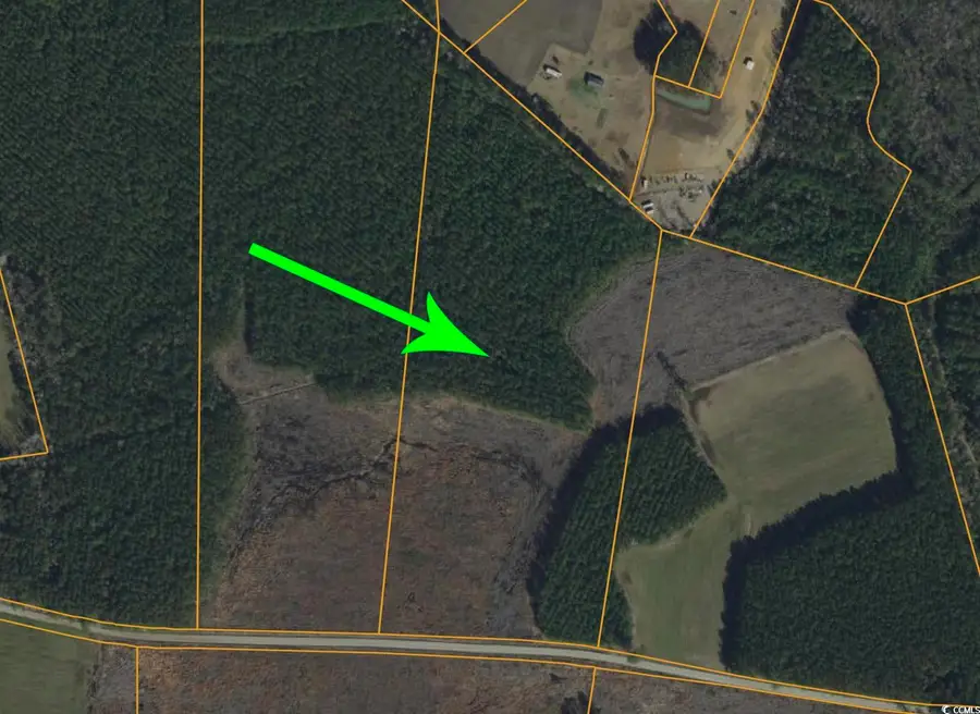 4791 Grainger Circle, Green Sea, SC 29545 - Image #2