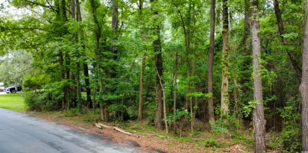 189 William Screven St., Georgetown, SC 29440