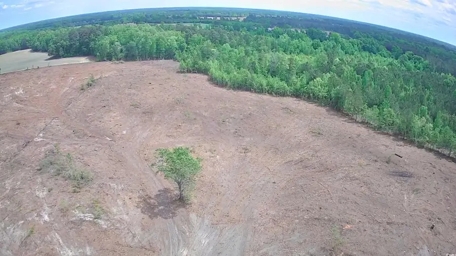 TBD East Leitner Extension, Latta, SC 29565 - Image #2