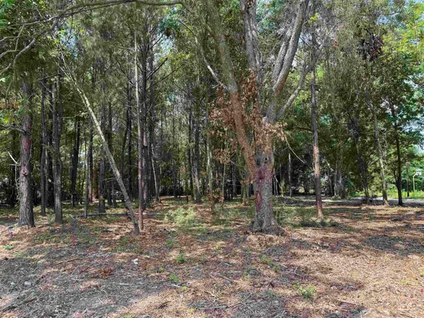 2 Lots - TBD S Rosemary Ave., Andrews, SC 29510