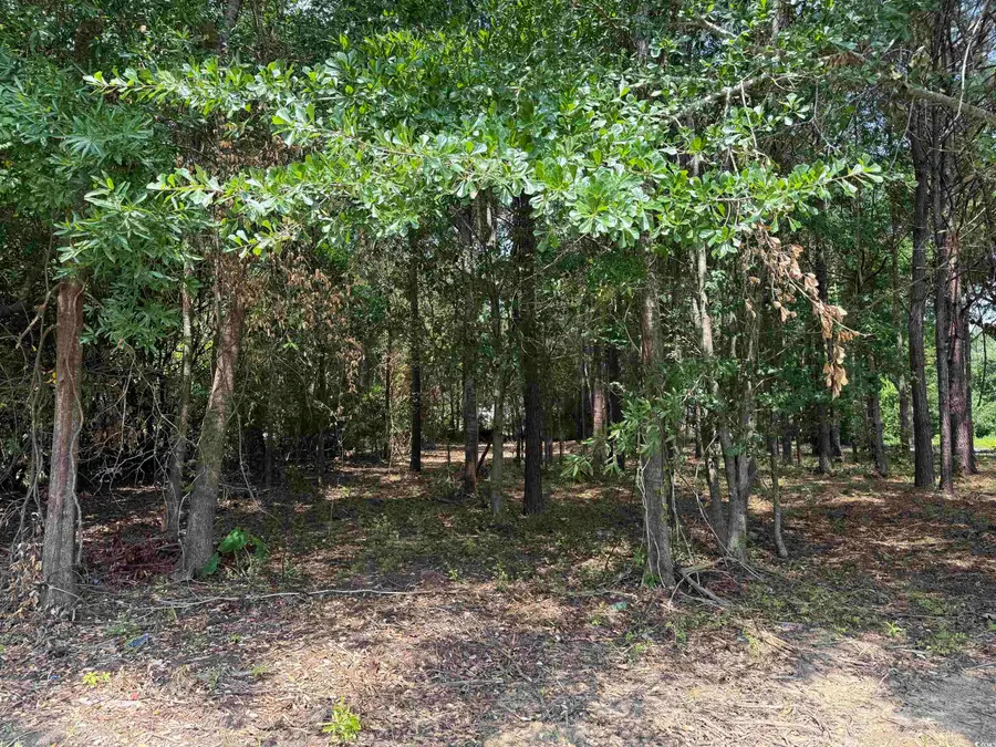 2 Lots - TBD S Rosemary Ave., Andrews, SC 29510 - Image #2