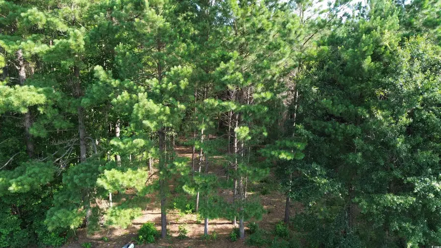 TBD Highway 762, Loris, SC 29569 - Image #3