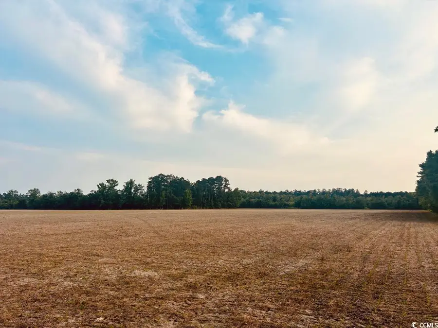 Highway 9, Nichols, SC 29581 - Image #3