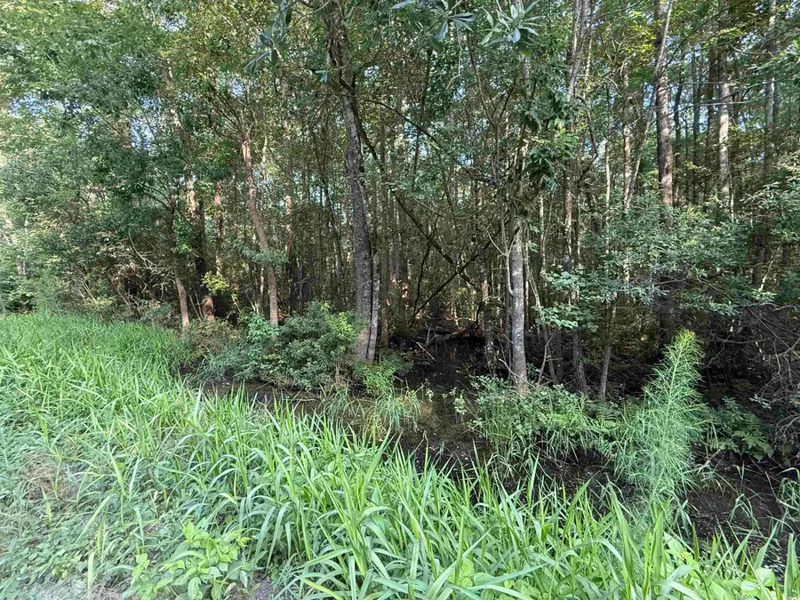 TBD Wolf Pit Bay Rd., Nichols, SC 29581 - Image #3