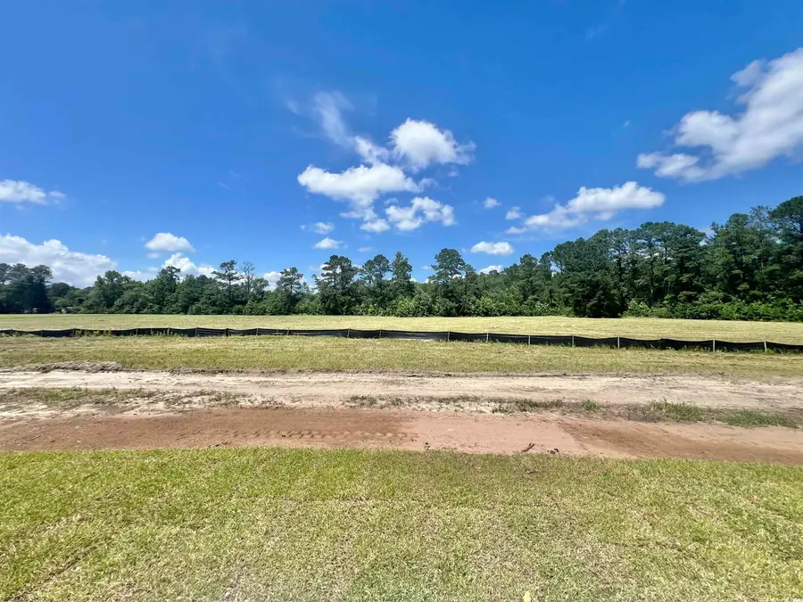 193 Norris Ln, Loris, SC 29569 - #2