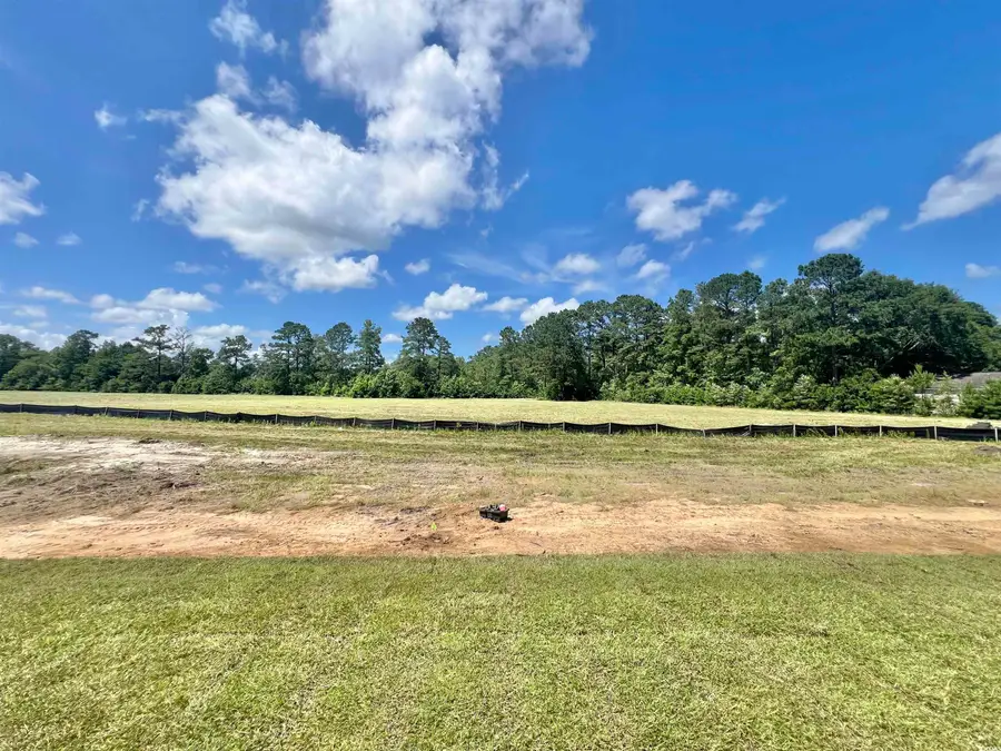 197 Norris Ln, Loris, SC 29569 - #3