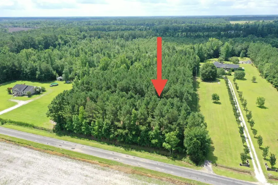 TBD Hamps Rd., Nichols, SC 29581 - Image #2