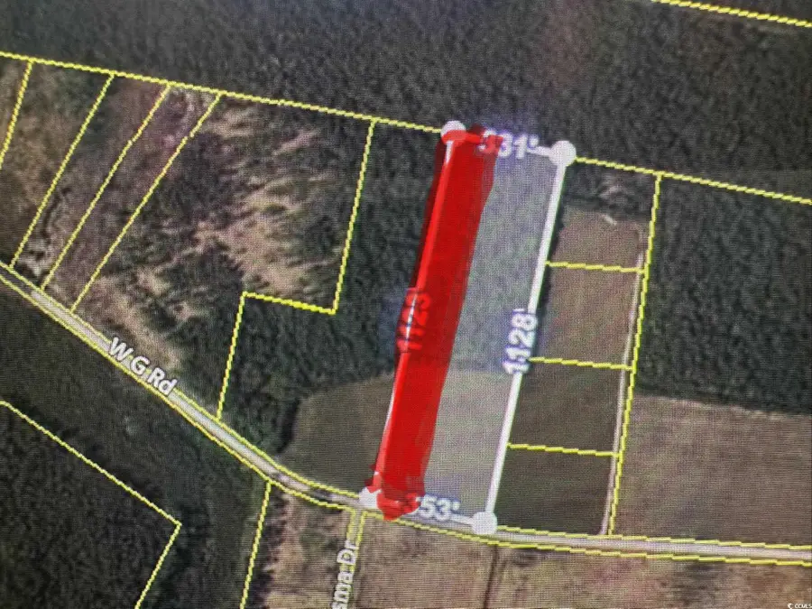 Lot 1 W G Rd., Conway, SC 29526 - #2