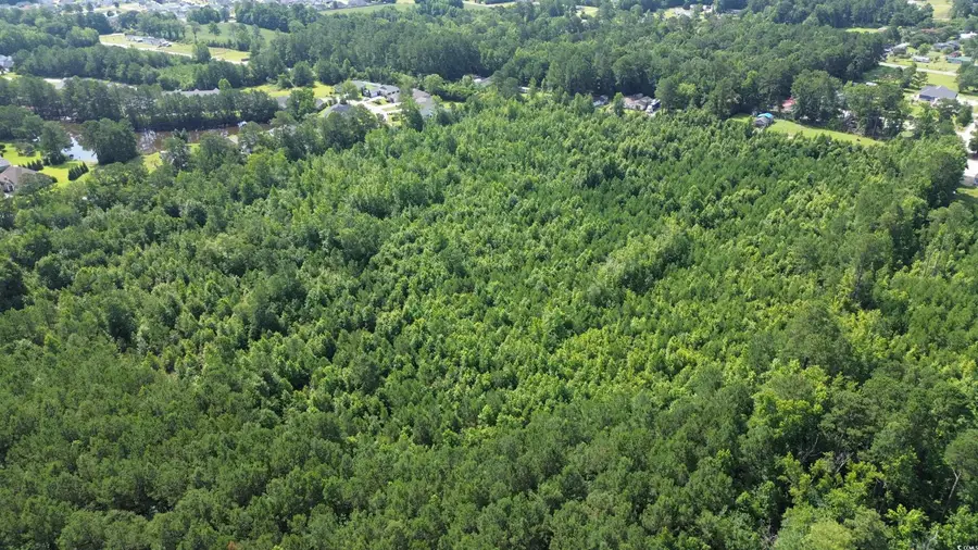 TBD Elbow Rd., Longs, SC 29568 - Image #3