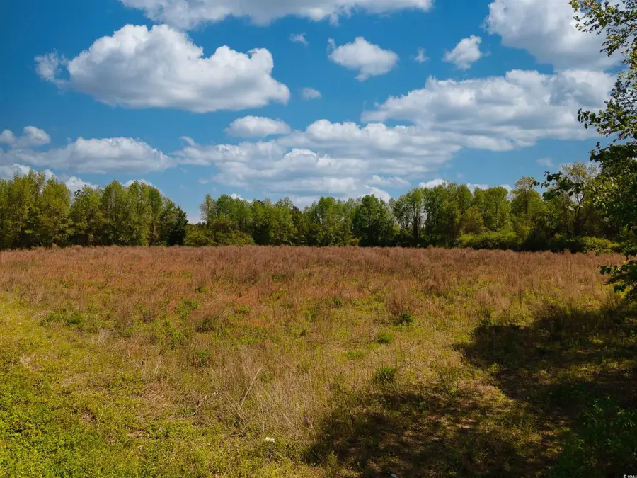 0000 Clarendon Chadbourn Rd., Clarendon, NC 28432 - Image #3