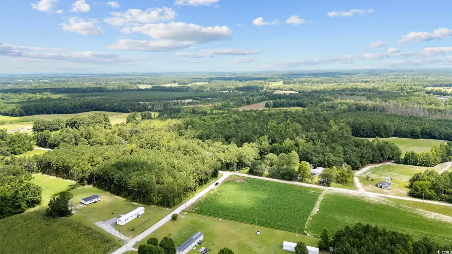 TBD Plainfield Rd., Galivants Ferry, SC 29544 - Image #3