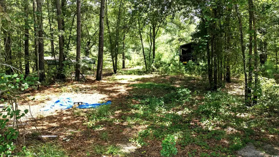 TBD Vance Ln., Nichols, SC 29581 - Image #2