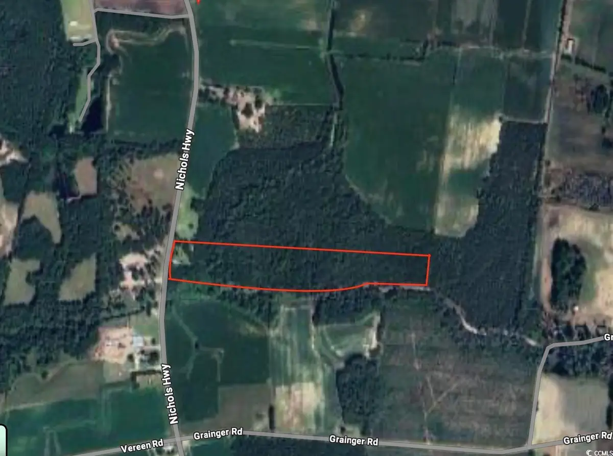 0 Nichols Hwy., Aynor, SC 29511 - Image #1