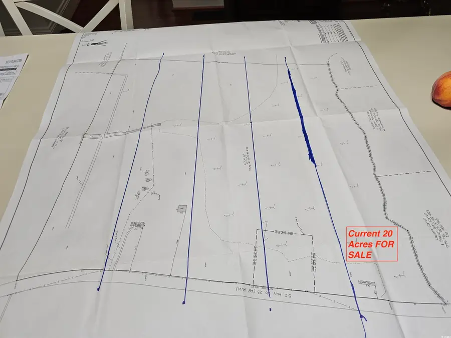 0 Nichols Hwy., Aynor, SC 29511 - Image #3