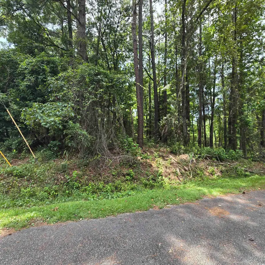 1051 Irene Ct., Conway, SC 29526 - #2