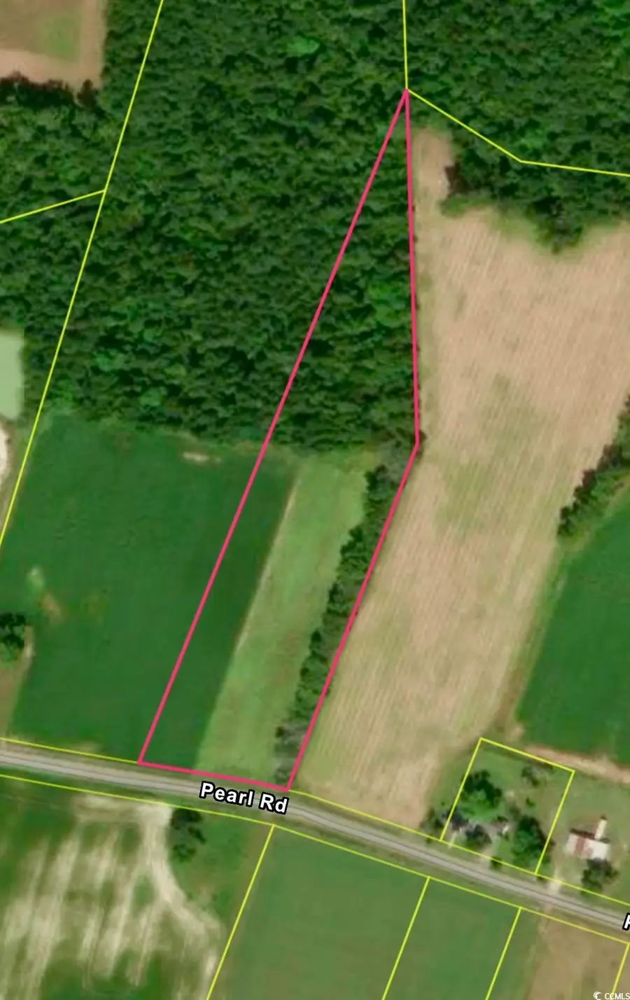 TBD Pearl Rd., Galivants Ferry, SC 29544 - Image #2