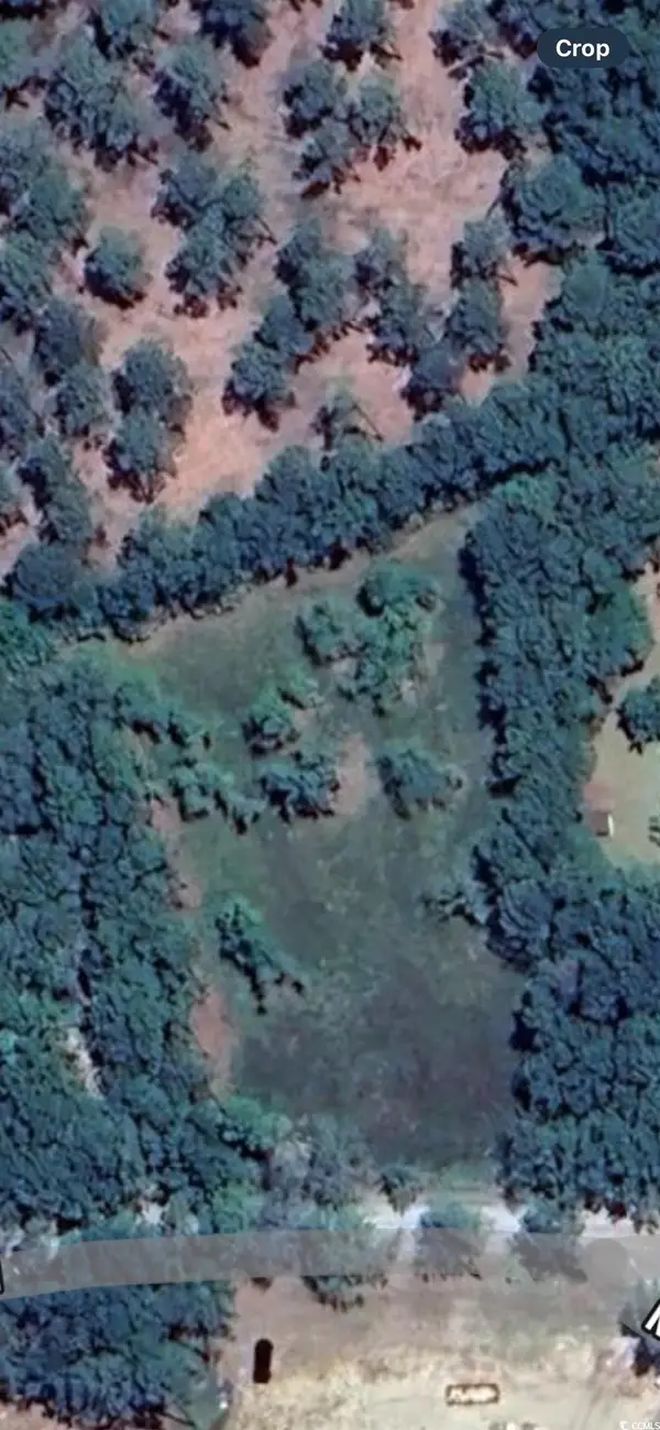 722 Romain Rd., McClellanville, SC 29458