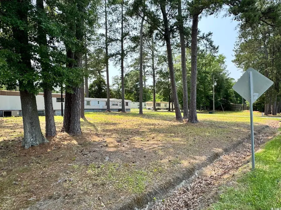 1515 Old Hamer Rd., Dillon, SC 29536 - Image #3