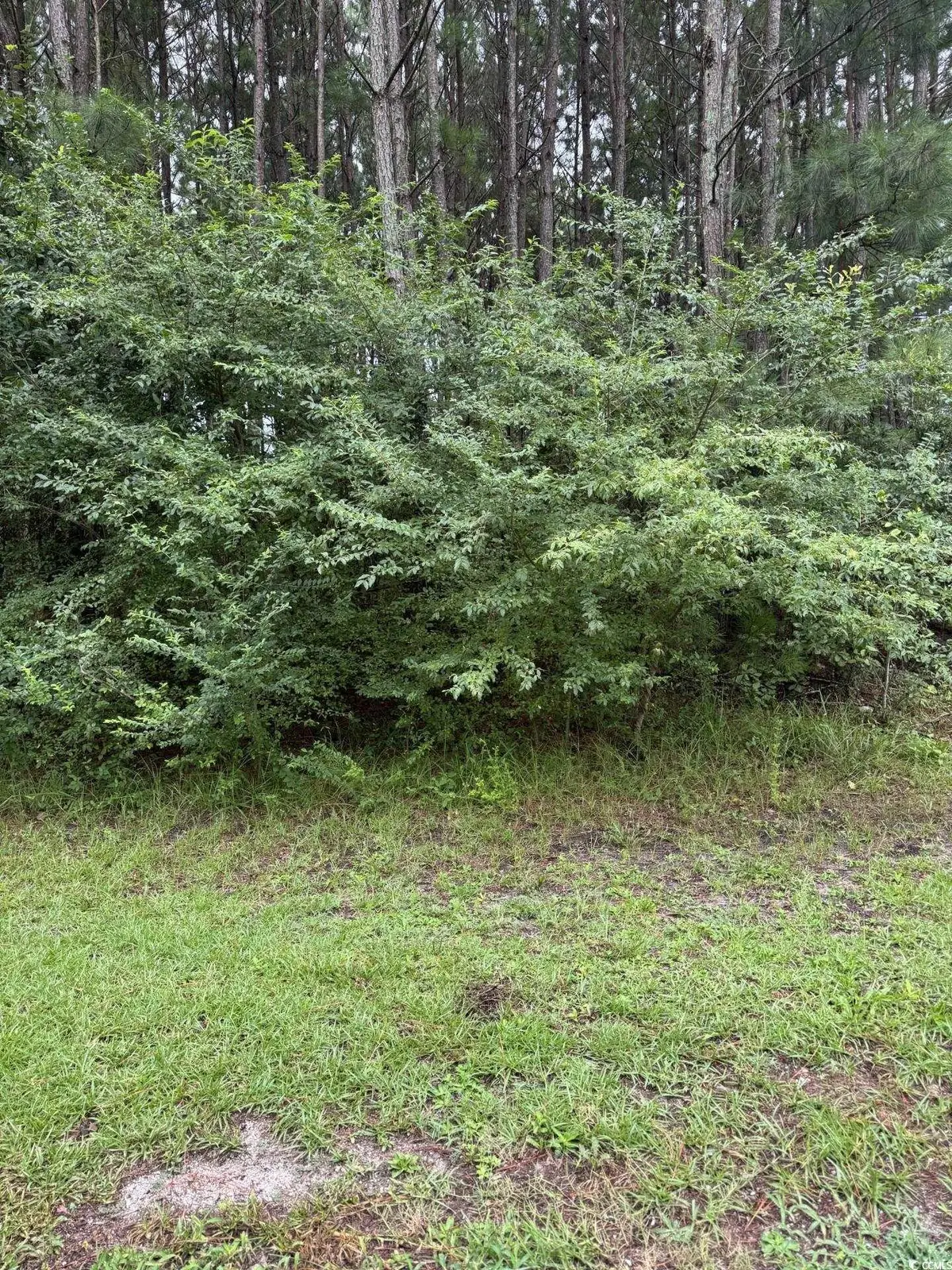 TBD Louisville Rd., Aynor, SC 29511 - Image #1