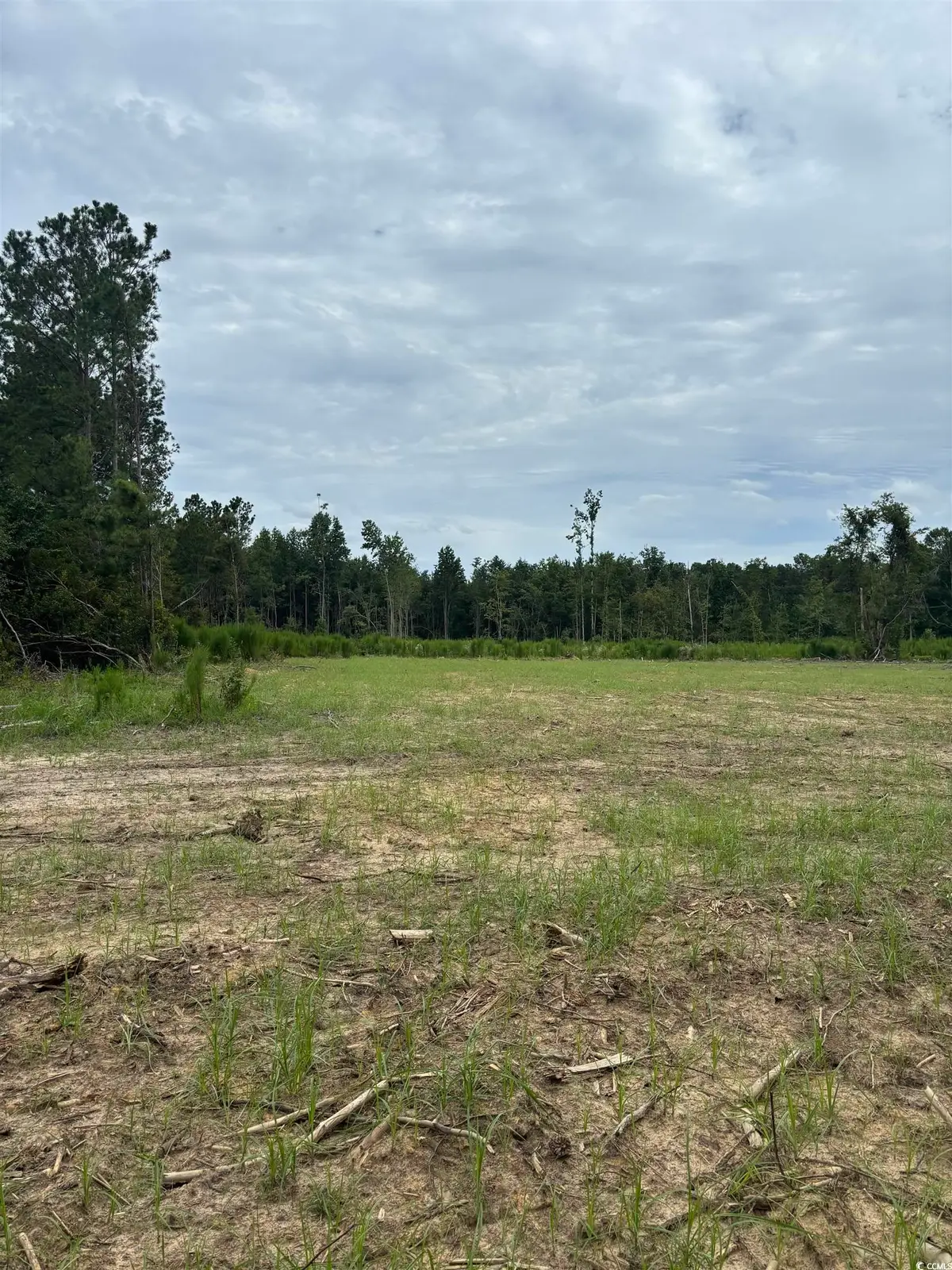 Herman Rd., Loris, SC 29569 - Image #1