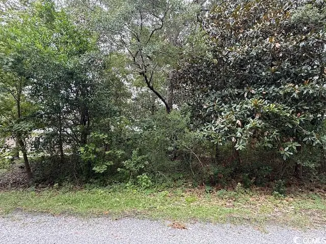 3587 Adam Ct., Murrells Inlet, SC 29576 - Image #3