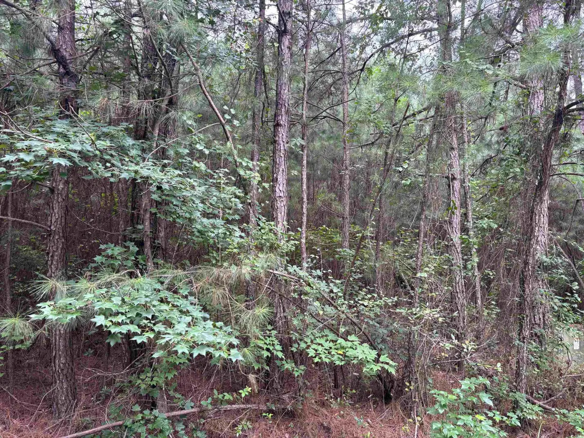 Lot 5-D Mcgregor St., Lake City, SC 29560 - Image #1
