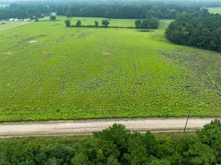 TBD LOT 3 Tansy Rd., Loris, SC 29569 - Image #2