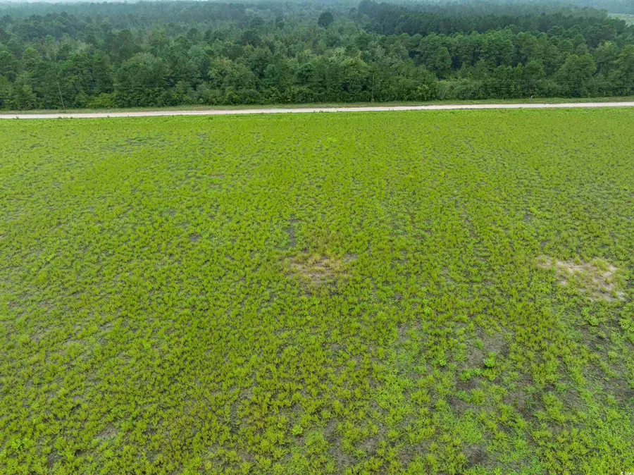 TBD LOT 4 Tansy Rd., Loris, SC 29569 - Image #2