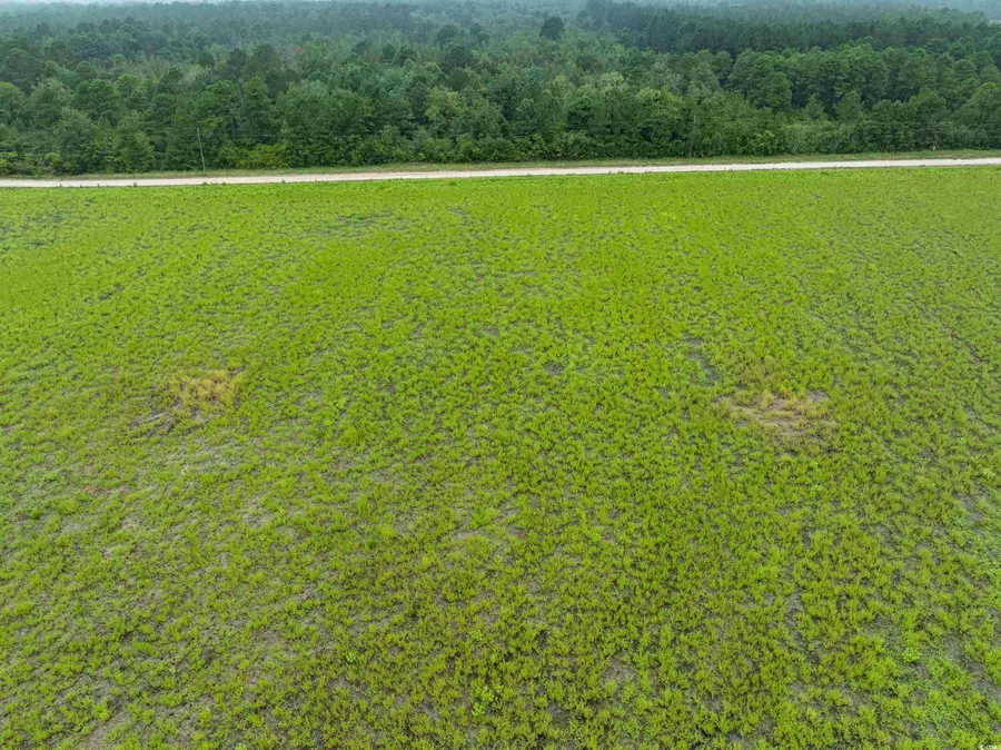TBD LOT 5 Tansy Rd., Loris, SC 29569 - Image #3