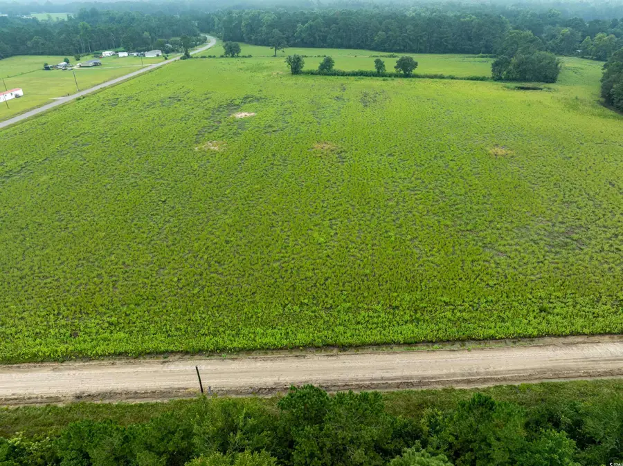 TBD LOT 6 Tansy Rd., Loris, SC 29569 - Image #2