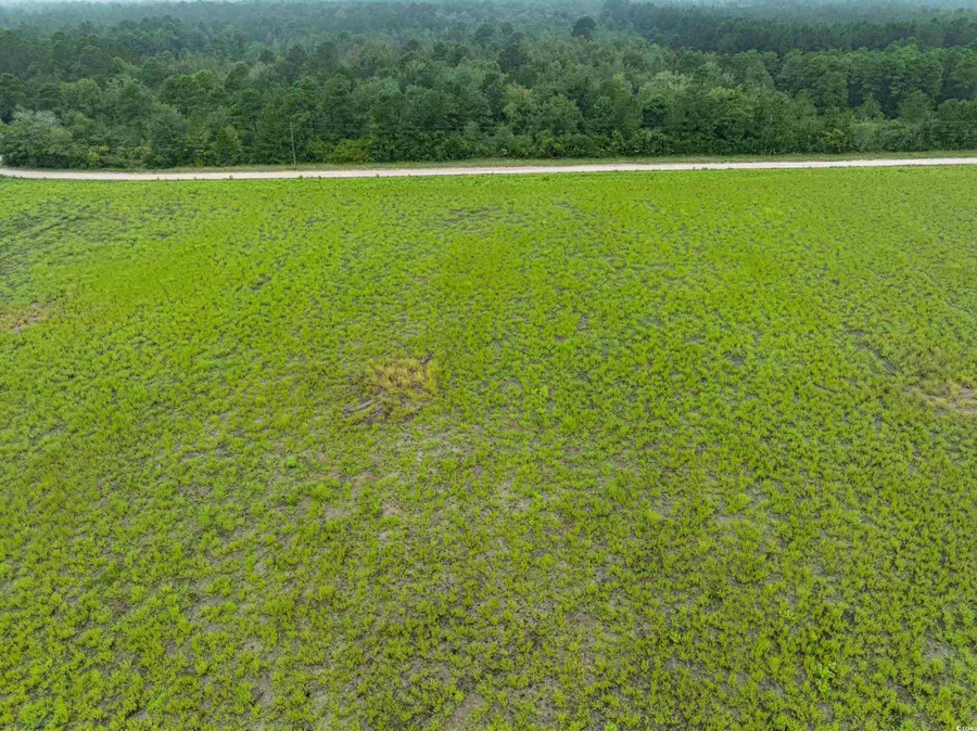 TBD LOT 6 Tansy Rd., Loris, SC 29569 - Image #3