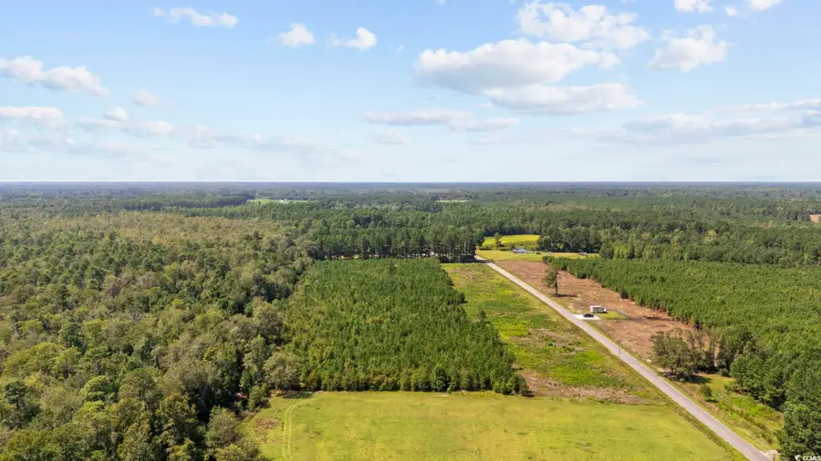 Multiple Lots Black Creek Rd., Nichols, SC 29581 - Image #2