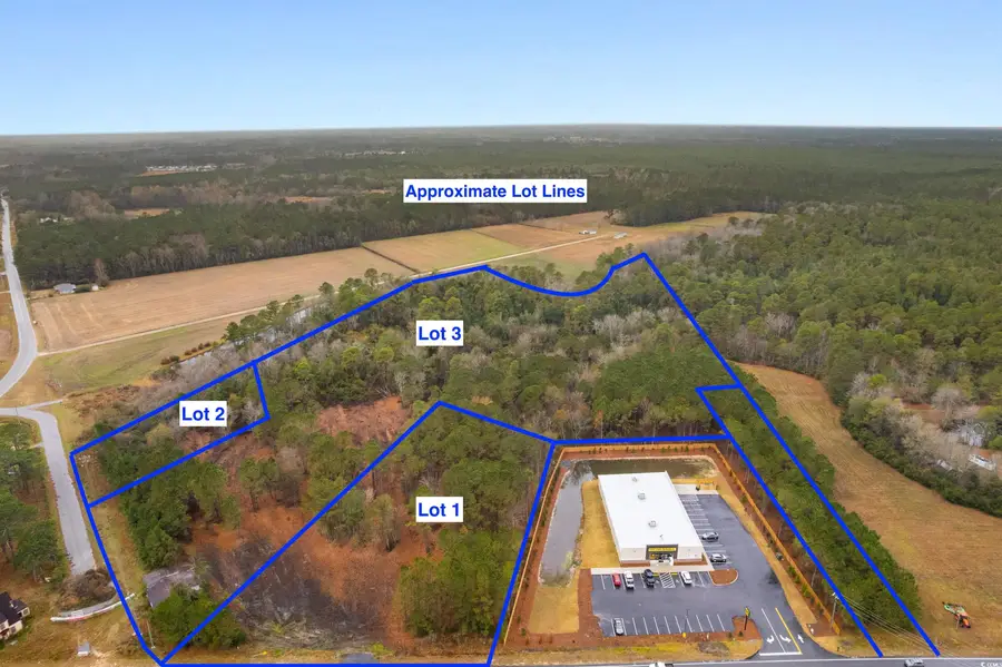 Lots 2 & 3 Red Bluff Rd., Loris, SC 29569 - Image #3