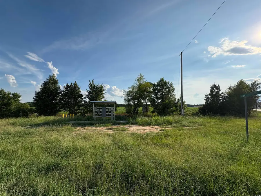 TBD Highway 521, Greeleyville, SC 29056 - Image #2