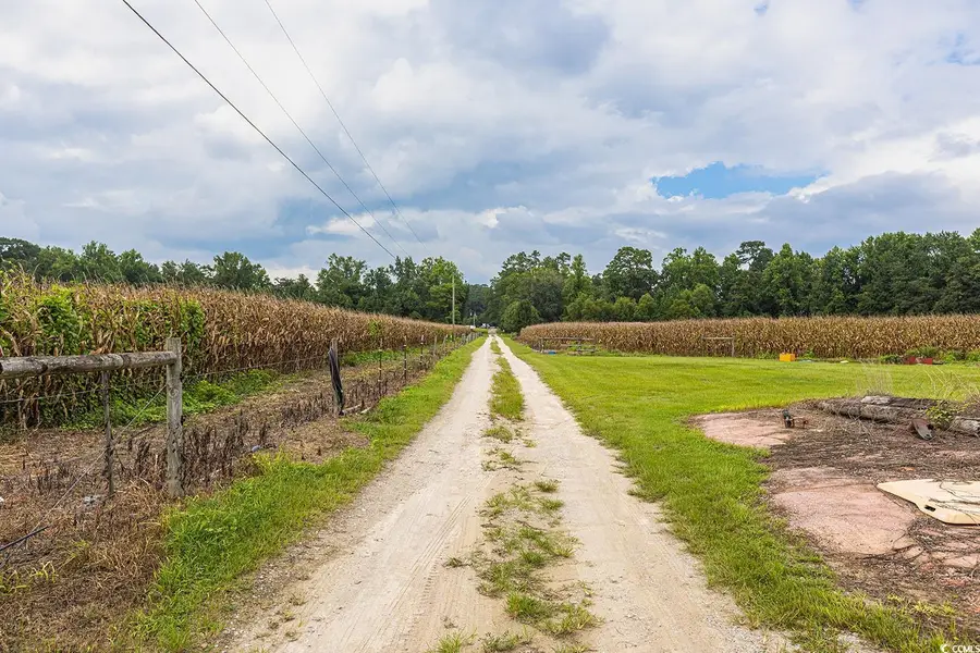 9100 Quarter Horse Dr., Nichols, SC 29581 - Image #3