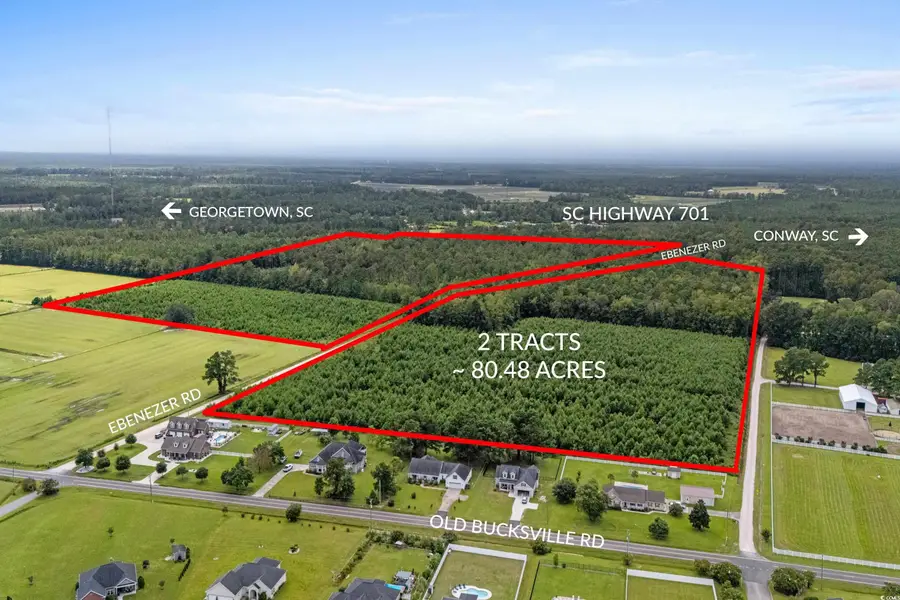 TBD Ebenezer Rd., Conway, SC 29527 - Image #2