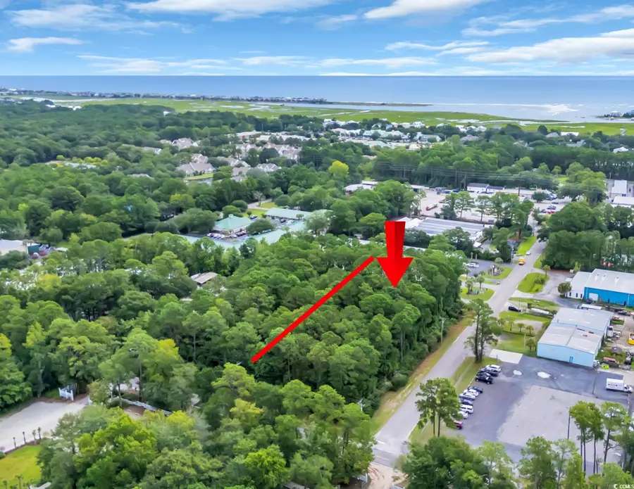 2364 Petigru Dr., Pawleys Island, SC 29585 - Image #3