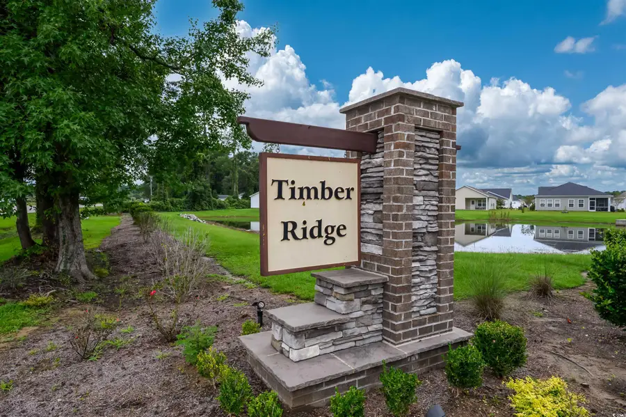 251 Red Maple Loop, Longs, SC 29568 - Image #3