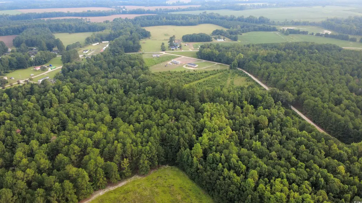 Lot 7 Tooge Hayes Rd., Mullins, SC 29574 - #1