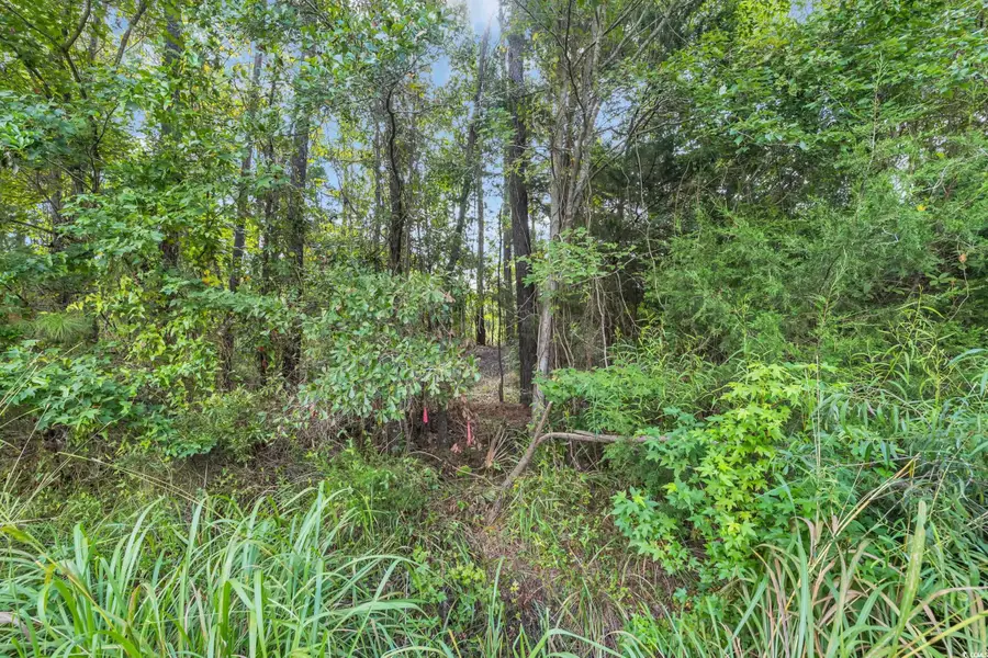TBD Creek Bend Rd, Georgetown, SC 29440 - Image #2