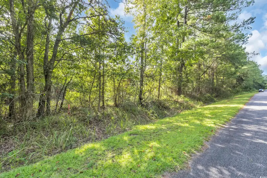 TBD Creek Bend Rd, Georgetown, SC 29440 - Image #3