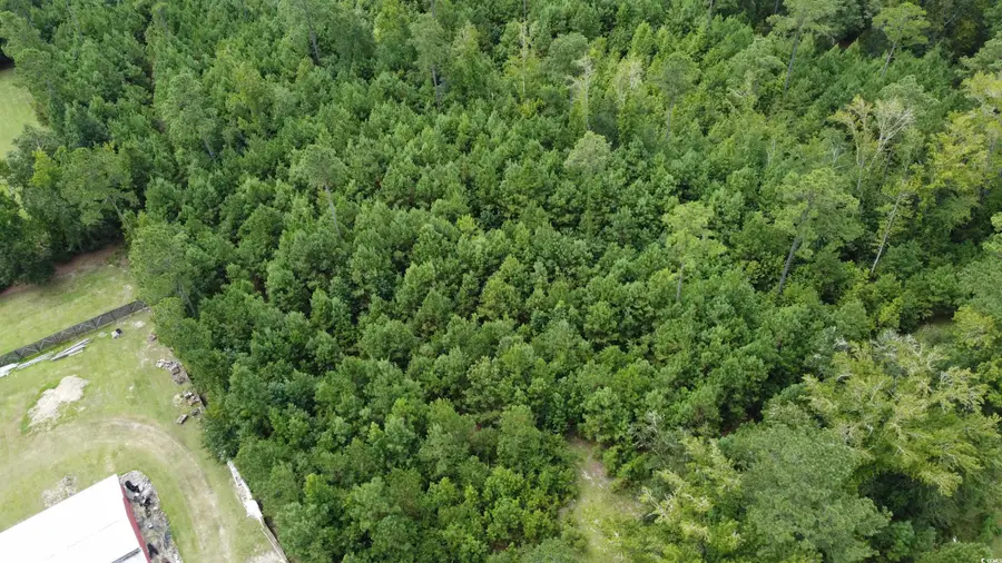 TBD Lonzy Ln., Conway, SC 29526 - Image #2