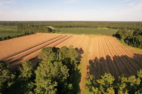 61.77 Acres-TBD Marion Church Rd., Salters, SC 29590