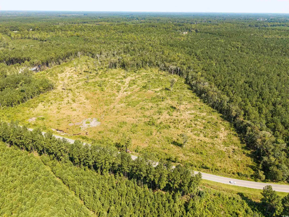 tbd Pitch Landing Rd., Conway, SC 29527 - Image #1
