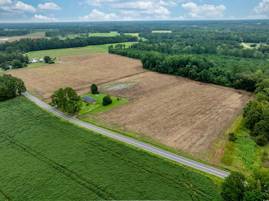 TBD Lot B7 Mount Olive Church Rd., Nichols, SC 29581 - Image #2