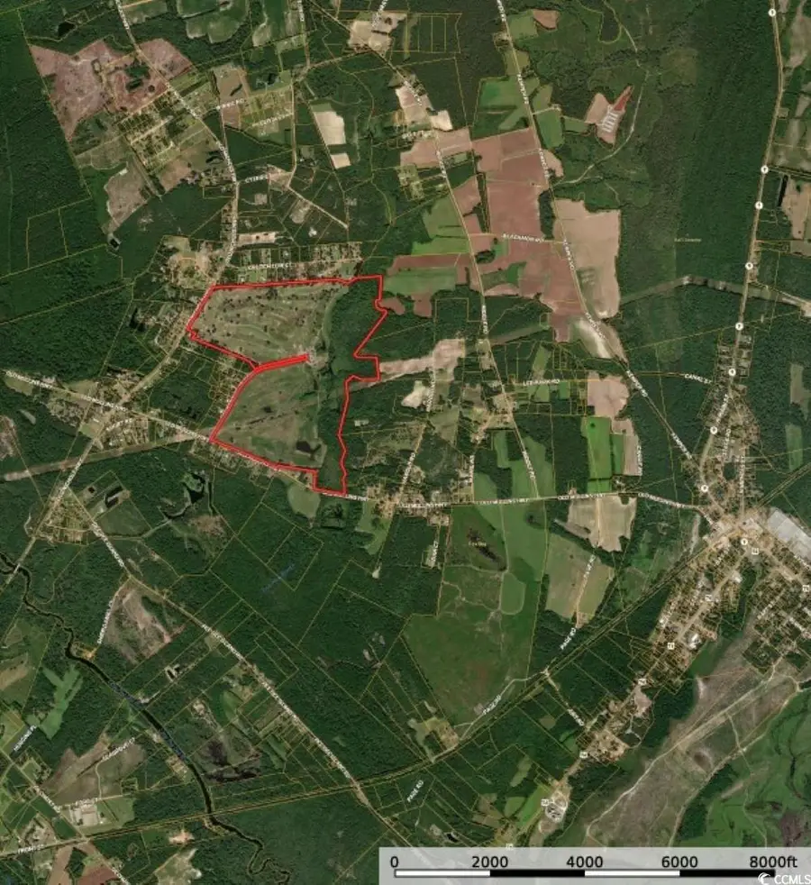 5050 Country Club Ct., Nichols, SC 29581 - Image #2