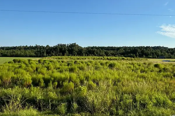TBD Norton Rd., Green Sea, SC 29545