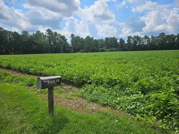 36.4 Acres-TBD Black Creek Rd., Nichols, SC 29581