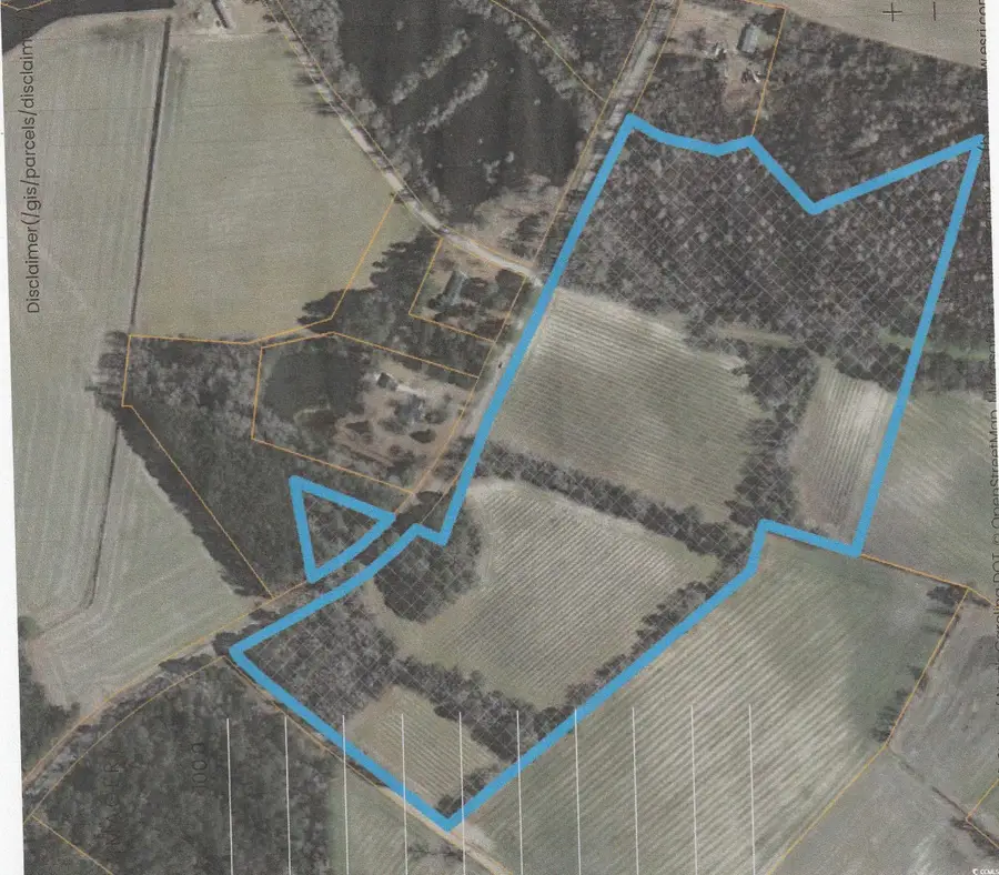 36.4 Acres-TBD Black Creek Rd., Nichols, SC 29581 - Image #3