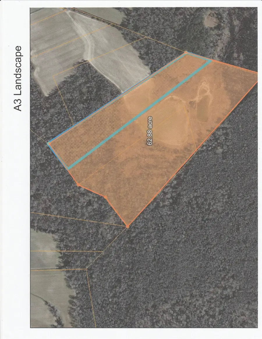 62.88 Acres-TBD Farguson Rd., Nichols, SC 29581 - Image #3